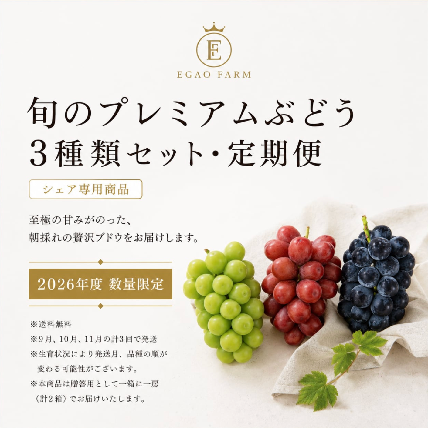 【1箱に2房】「旬のプレミアムぶどう3種類セット・定期便」
