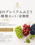 【1箱に2房】「旬のプレミアムぶどう3種類セット・定期便」