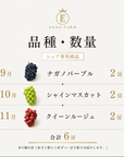 【1箱に2房】「旬のプレミアムぶどう3種類セット・定期便」