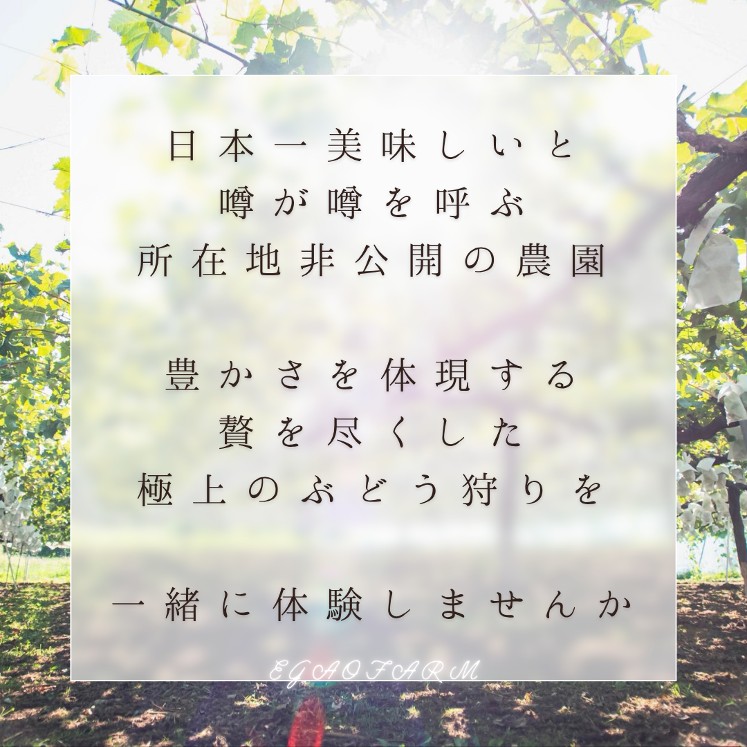 【子供】10/12開催 EGAOFARM presents 『豊かさの象徴 究極ぶどうを味わう 極上ツアー！』