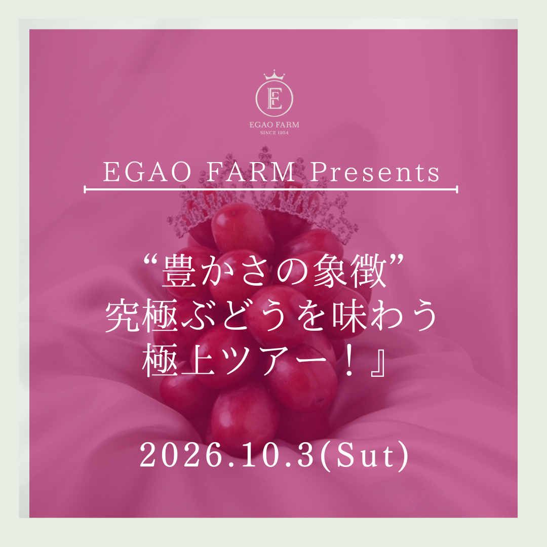 【大人】10/3開催 EGAOFARM presents 『豊かさの象徴 究極ぶどうを味わう 極上ツアー！』
