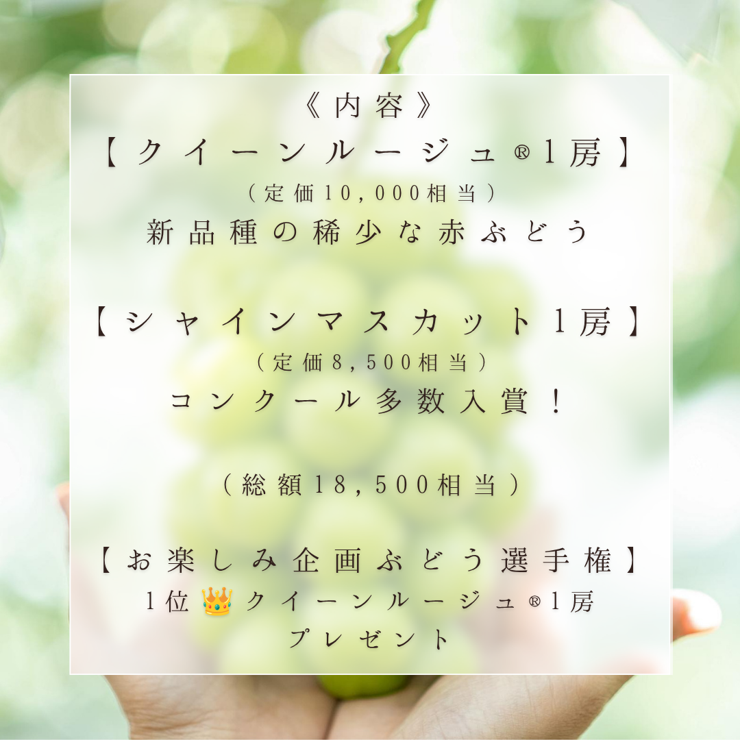 【子供】10/12開催 EGAOFARM presents 『豊かさの象徴 究極ぶどうを味わう 極上ツアー！』