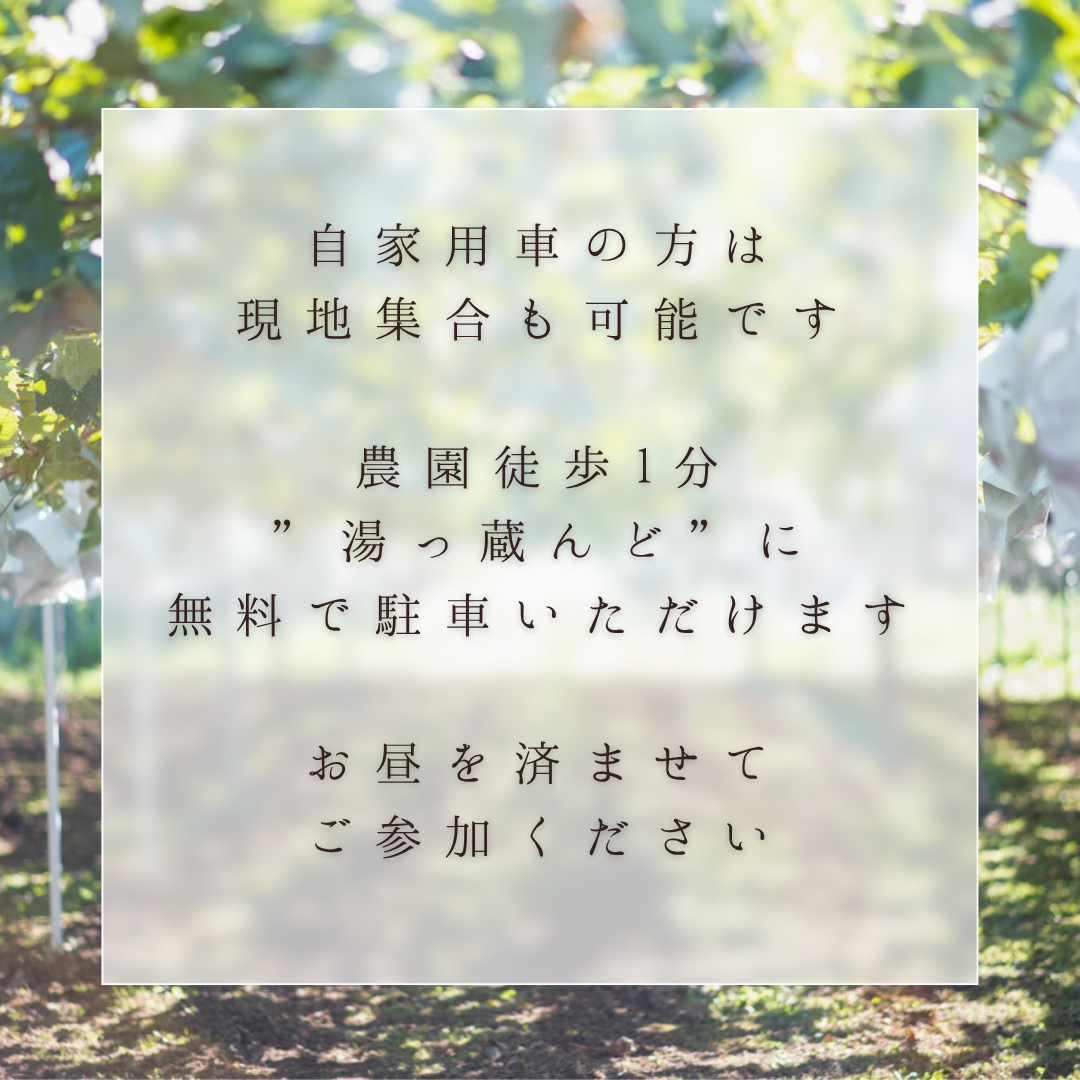 【子供】10/12開催 EGAOFARM presents 『豊かさの象徴 究極ぶどうを味わう 極上ツアー！』