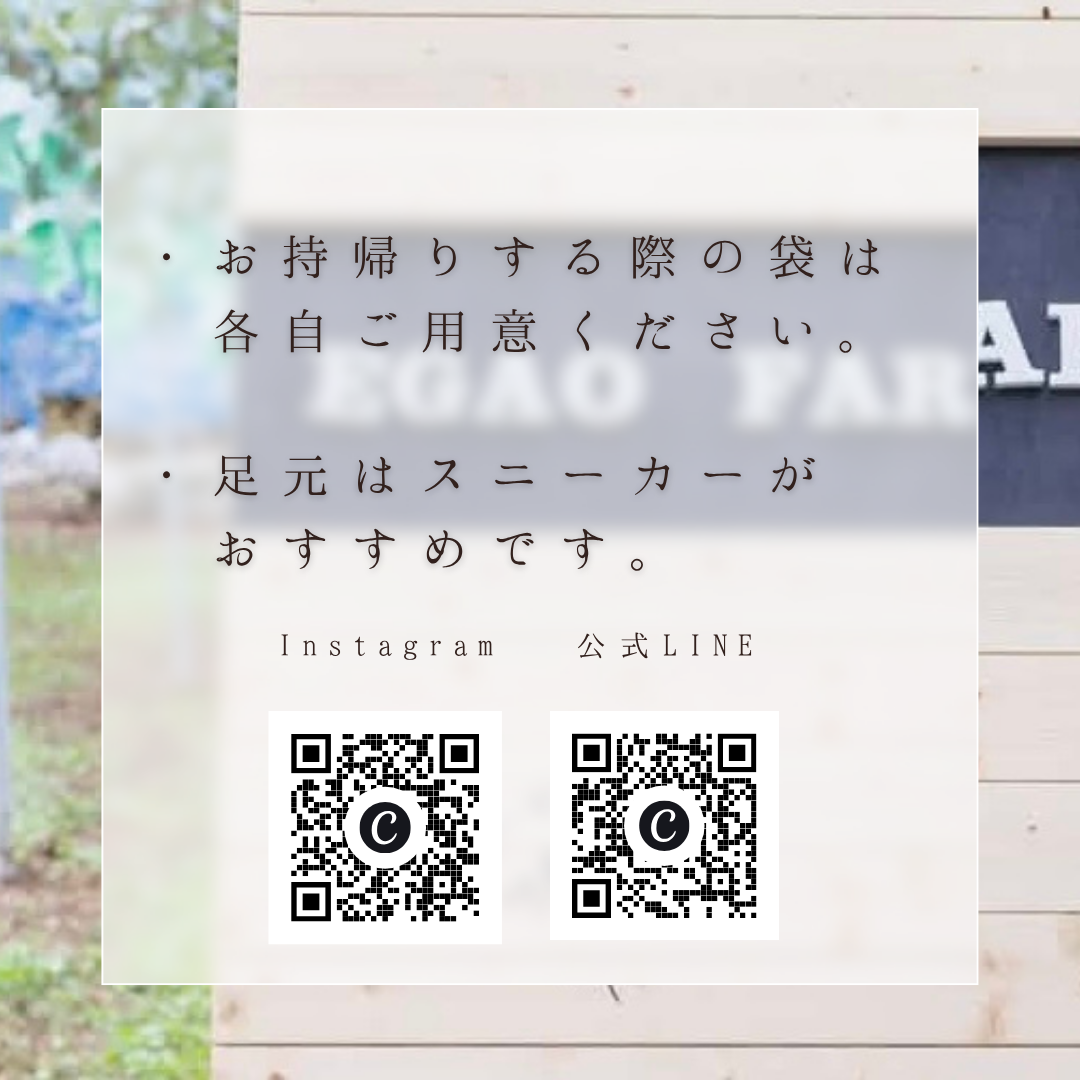 【子供】10/12開催 EGAOFARM presents 『豊かさの象徴 究極ぶどうを味わう 極上ツアー！』