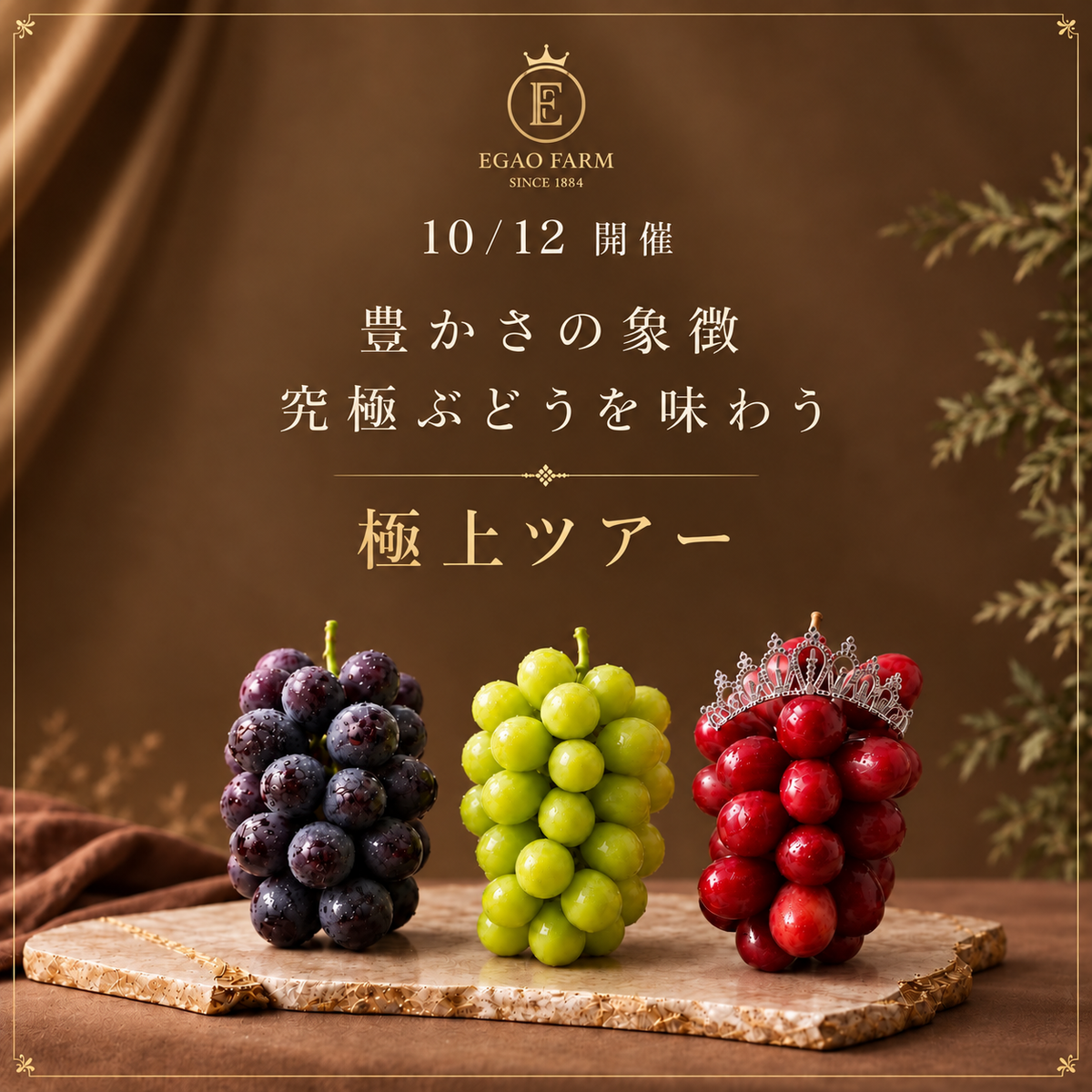 【子供】10/12開催 EGAOFARM presents 『豊かさの象徴 究極ぶどうを味わう 極上ツアー！』